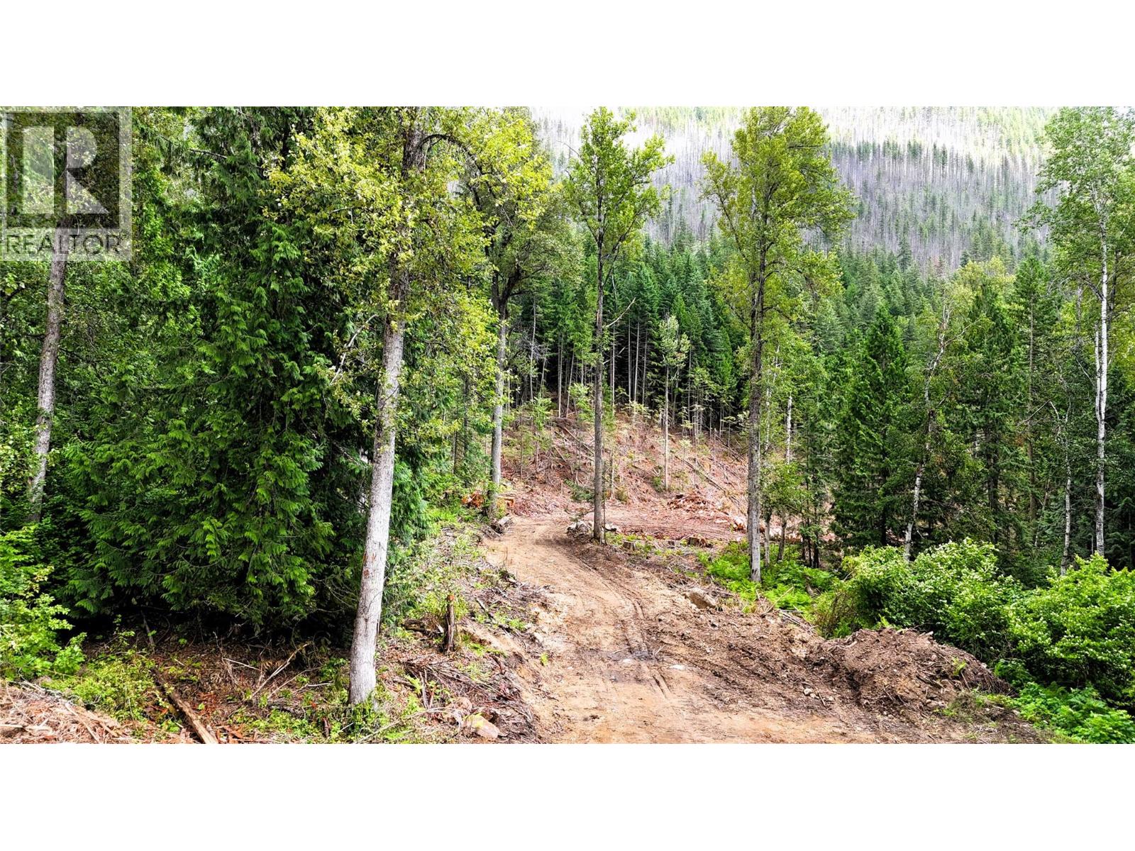 Trans Canada Highway Lot# 1-4, Revelstoke