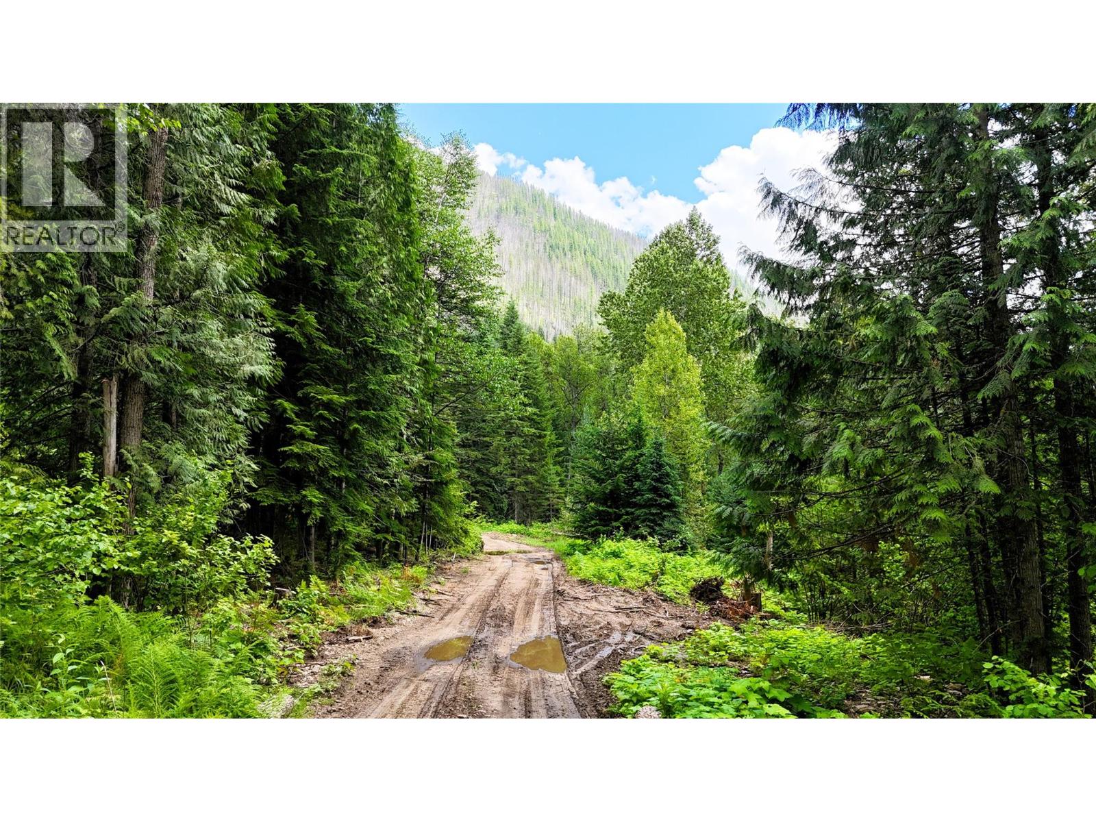 Trans Canada Highway Lot# 1-4, Revelstoke