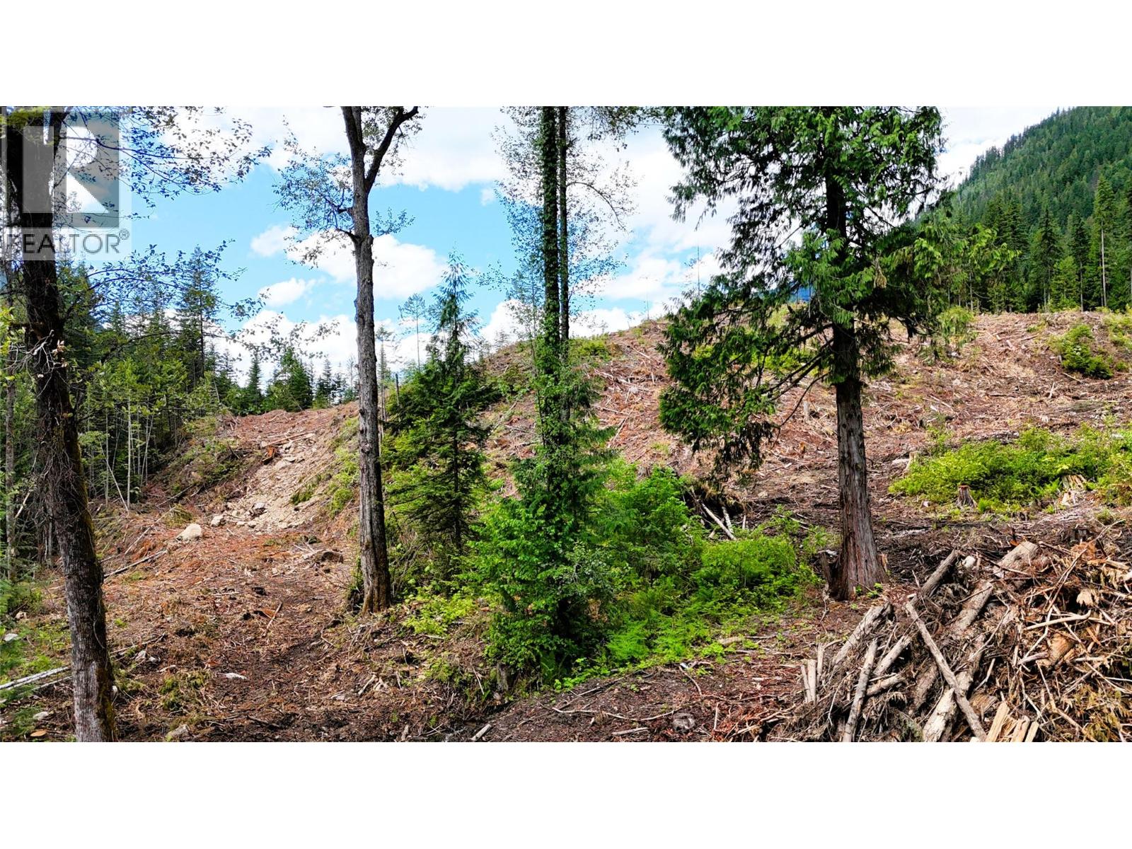 Trans Canada Highway Lot# 1-4, Revelstoke