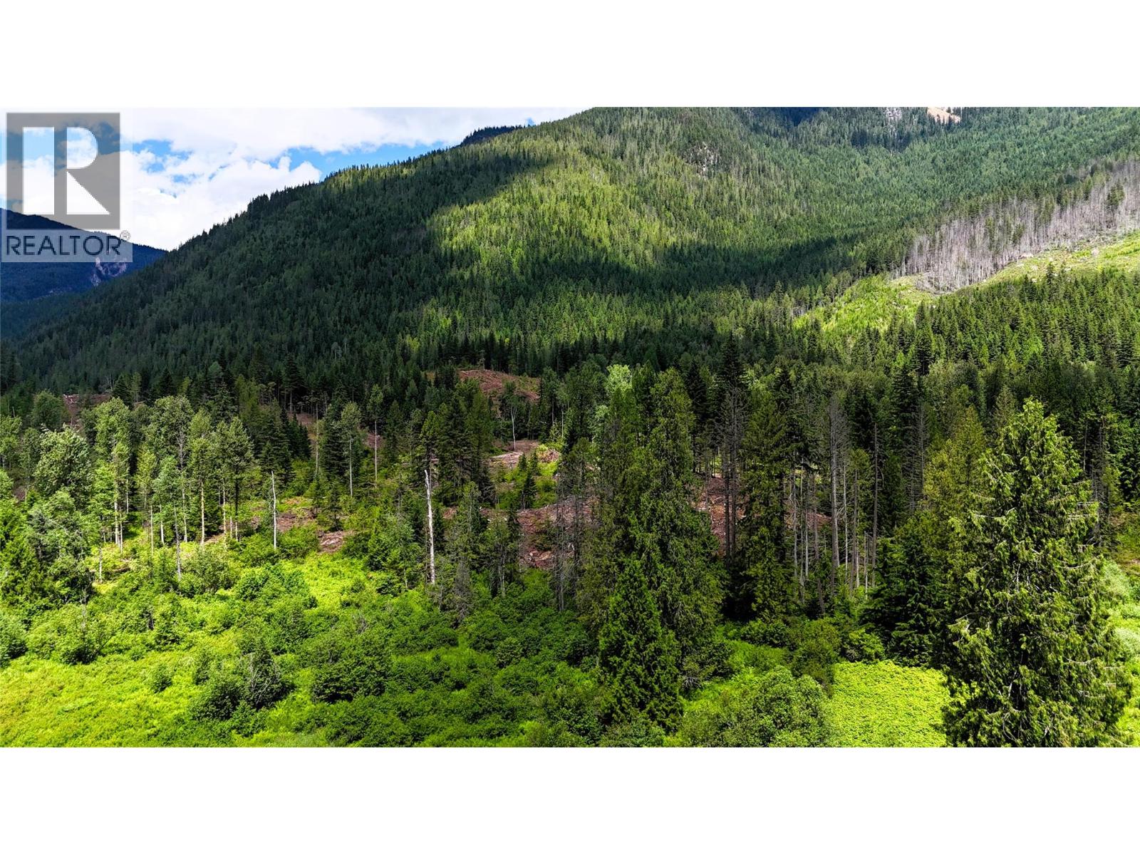 Trans Canada Highway Lot# 1-4, Revelstoke