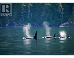 601 Fir St, Alert Bay, BC V0N1A0 Photo 11