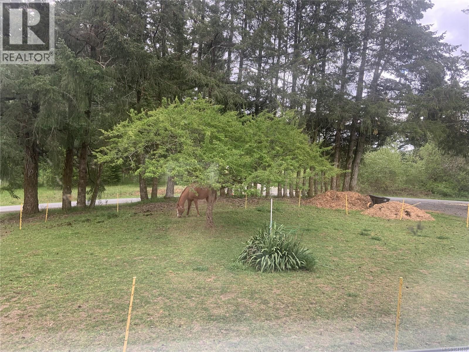 6064 Renton Rd S - 29