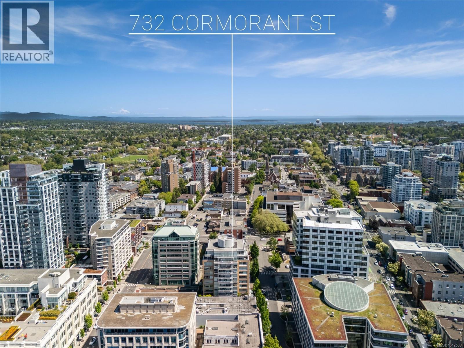 #201 732 Cormorant St - 23
