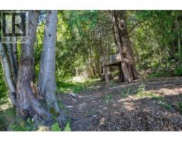 3548 Terrace Street, Ainsworth, BC V0G1A0 Photo 50