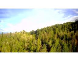 7340 Ramsay Place, Eastern Hillsides, Chilliwack, BC V4Z1J5 Photo 12