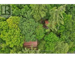 8-1125 Carlo Enterprise Road, Muskoka Lakes, ON P0B1M0 Photo 33