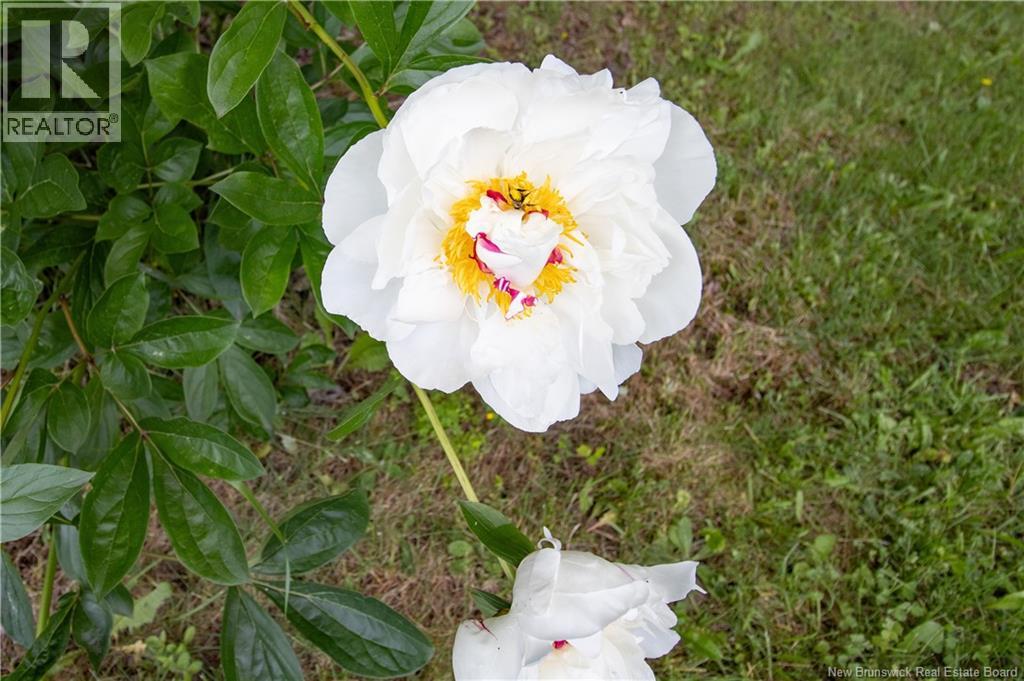 864 Route 875 - Image 38