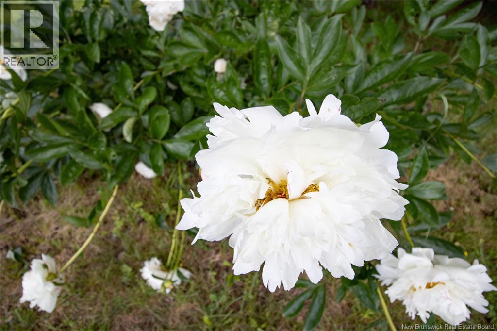 864 Route 875 - Image 39