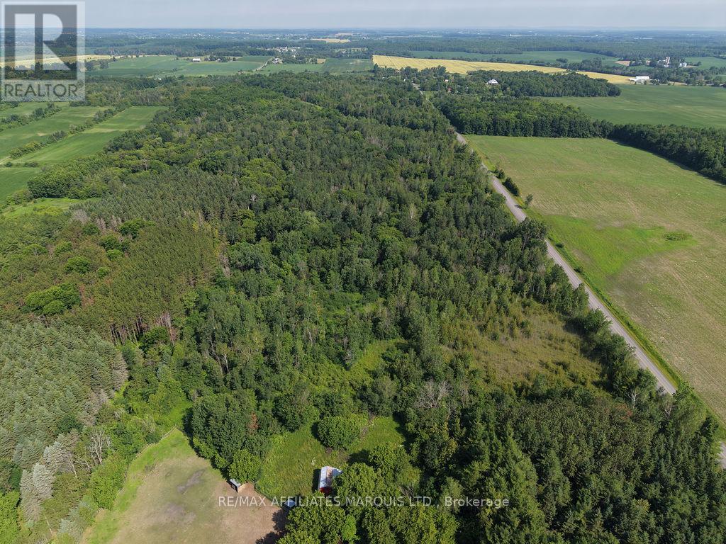 21111 CONCESSION 8 ROAD - Image 37