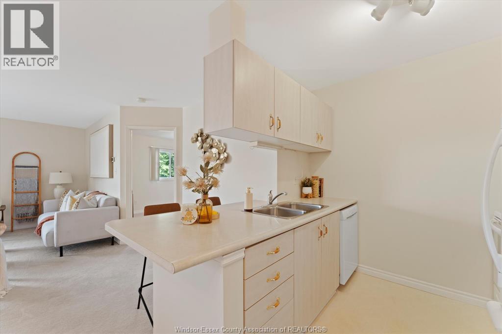 #314 1655 GRAND MARAIS ROAD West - 9