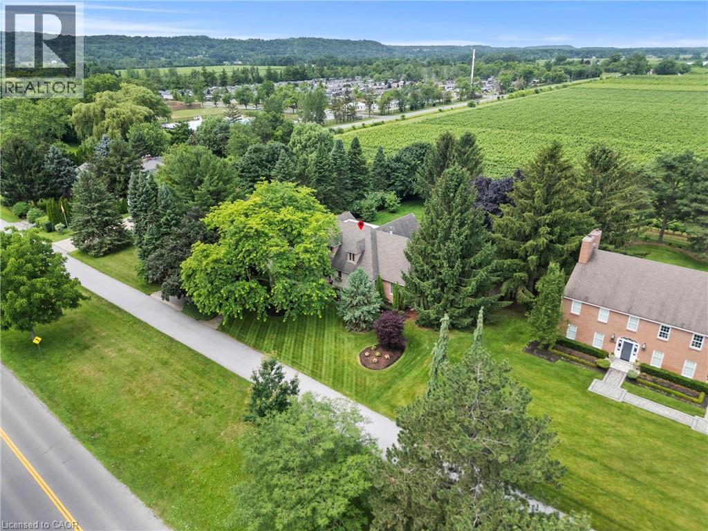 Thumbnail 43
