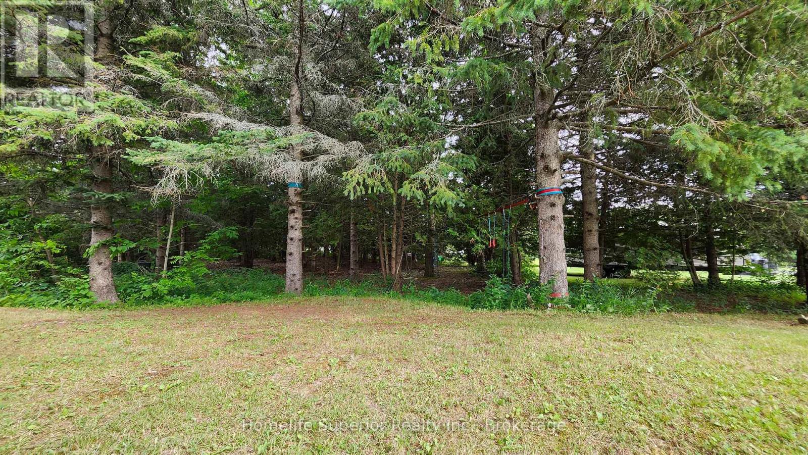 32 WILDROSE CIRCLE - 37
