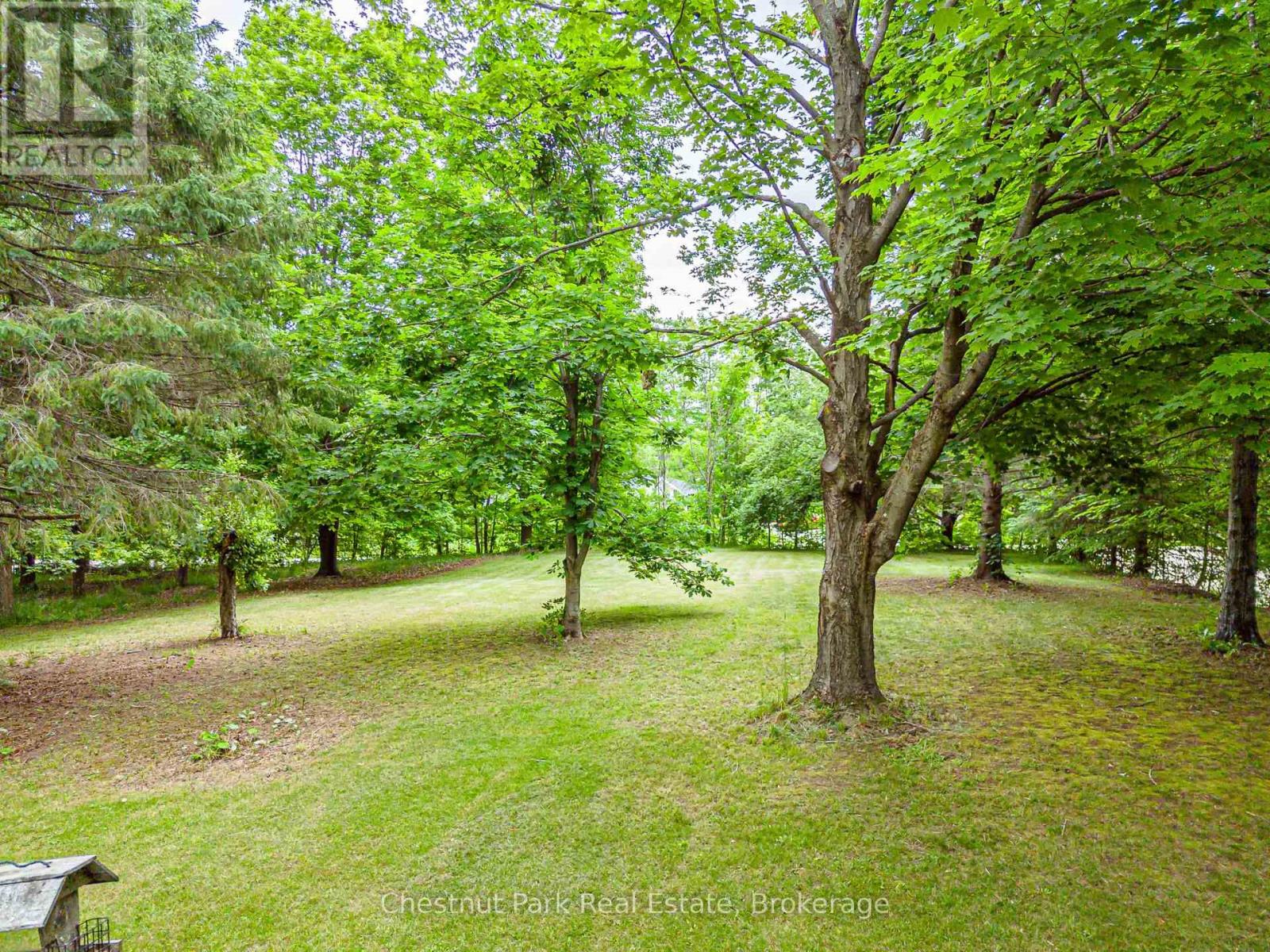 138 KIONONTIO TRAIL - Image 5