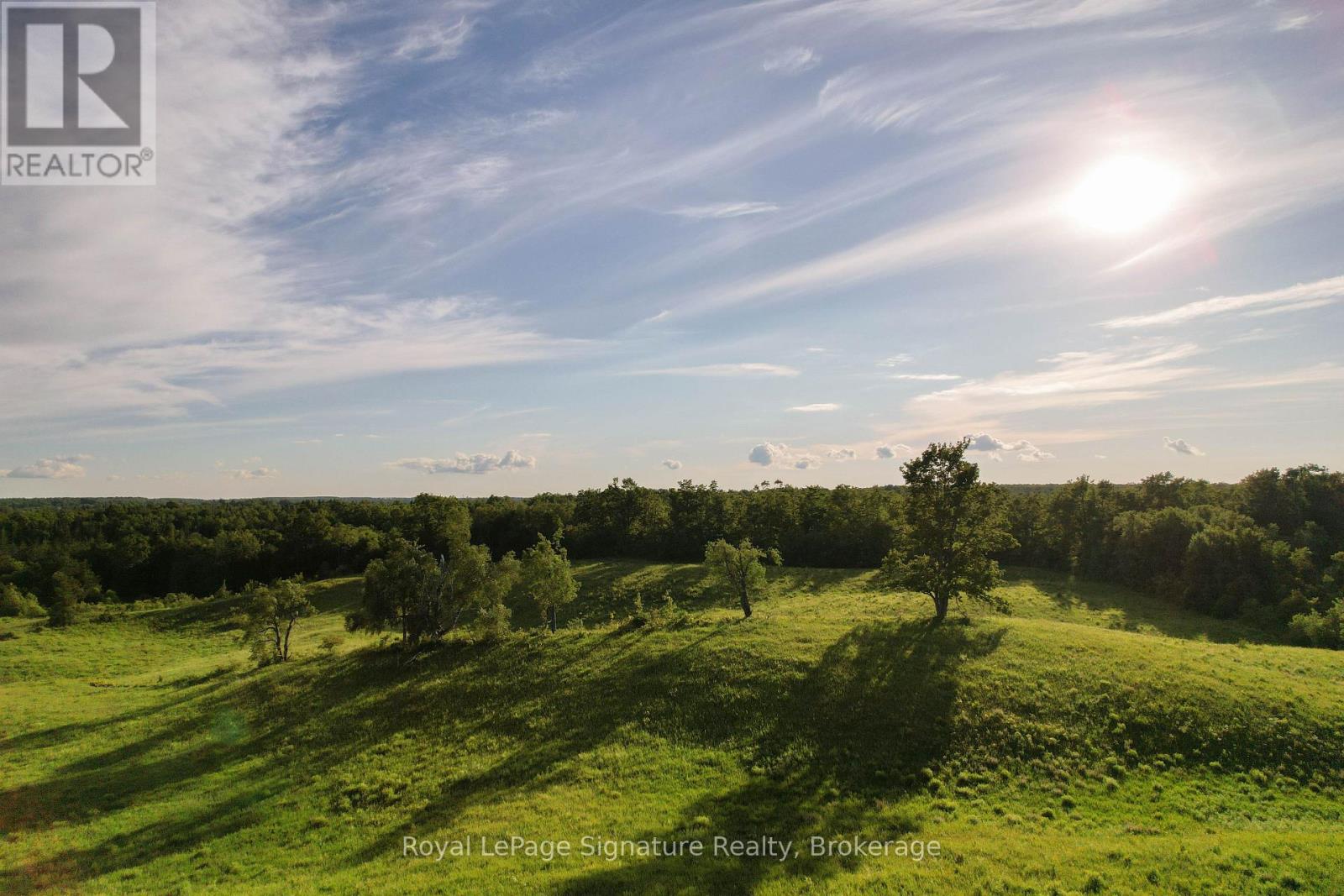 469273 GREY RD 31 ROAD - Image 35