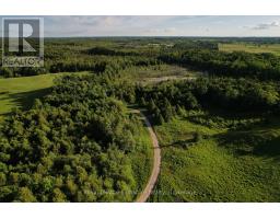 469273 Grey Rd 31 Road, Grey Highlands, ON N0C1M0 Photo 36
