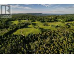 469273 Grey Rd 31 Road, Grey Highlands, ON N0C1M0 Photo 37