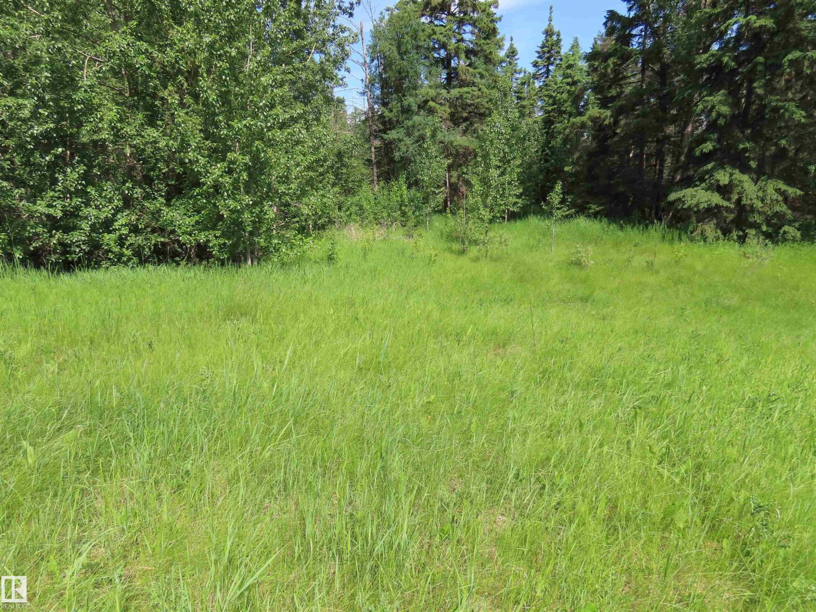 55421 RGE ROAD 31 — photo 12