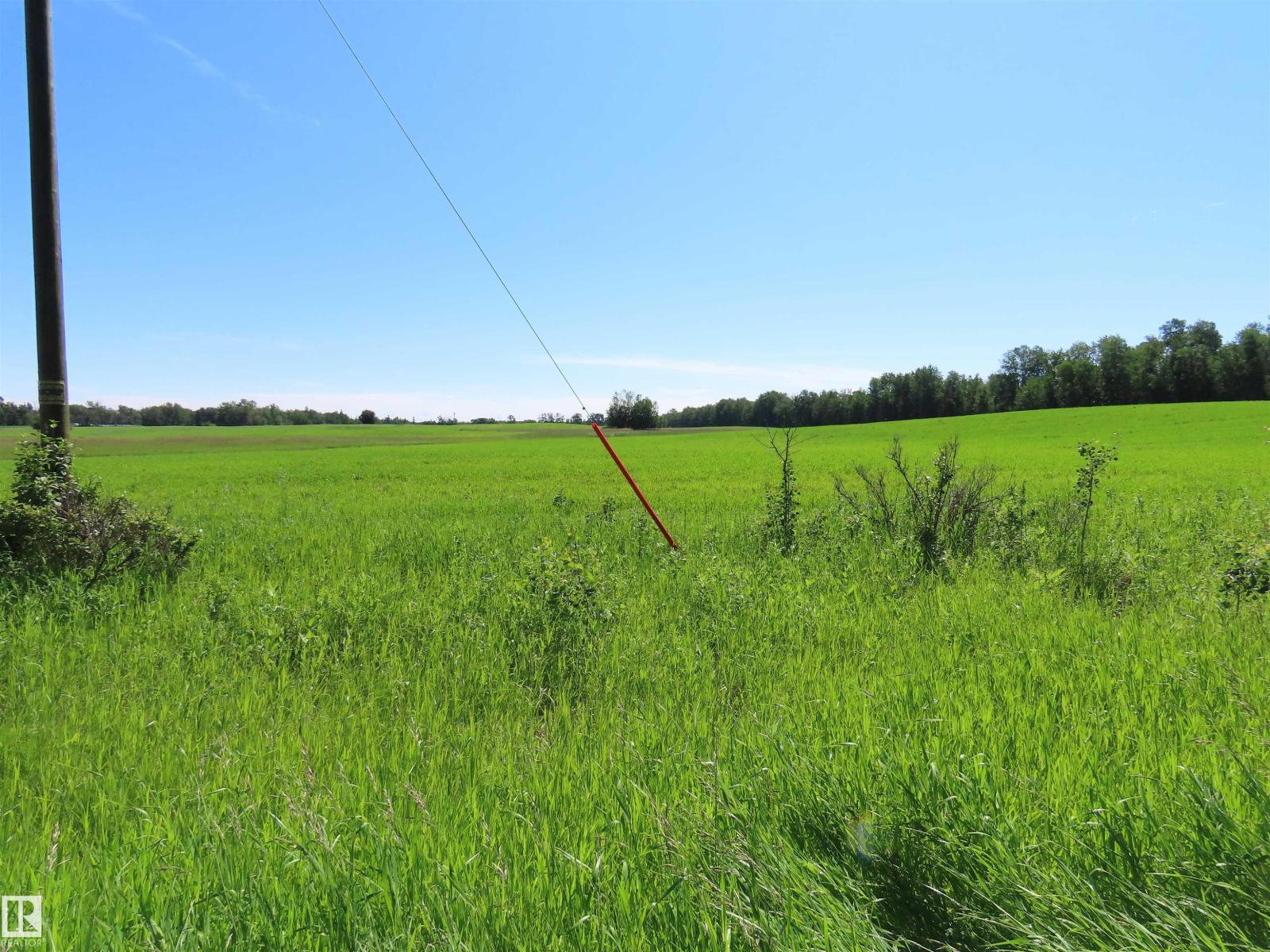55421 RGE ROAD 31 - photo 3