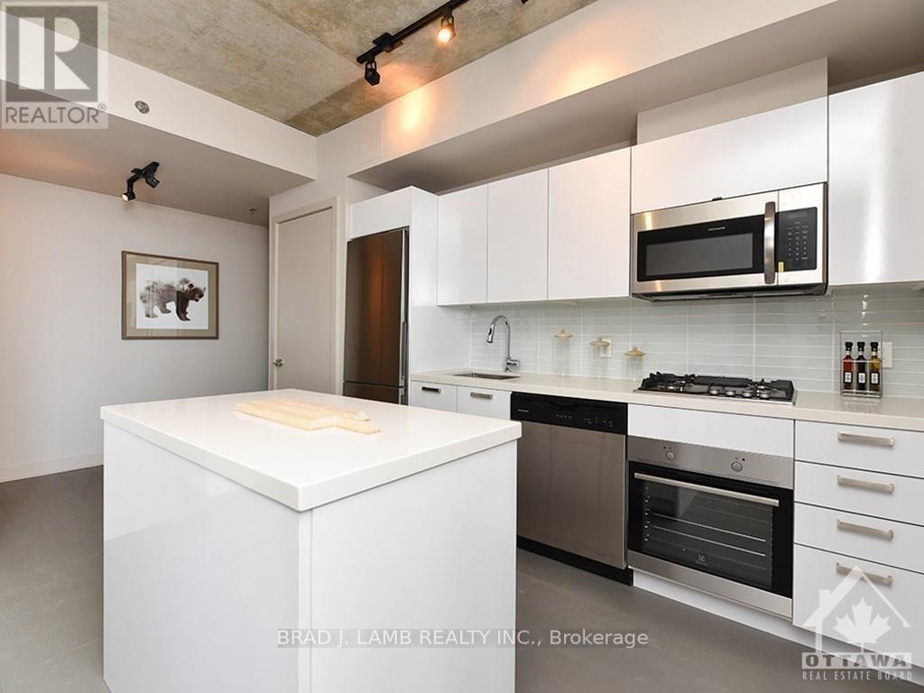 #209 203 CATHERINE STREET - 9