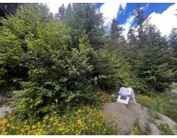 14953 Parkwood Street, Sunshine Valley, Sunshine Valley, BC V0X1L5 Photo 9