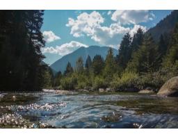 14953 Parkwood Street, Sunshine Valley, Sunshine Valley, BC V0X1L5 Photo 15
