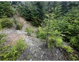 14953 Parkwood Street, Sunshine Valley, Sunshine Valley, BC V0X1L5 Photo 6