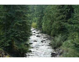 14953 Parkwood Street, Sunshine Valley, Sunshine Valley, BC V0X1L5 Photo 22