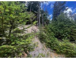 14953 Parkwood Street, Sunshine Valley, Sunshine Valley, BC V0X1L5 Photo 7