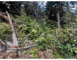 14963 Parkwood Street, Sunshine Valley, Sunshine Valley, BC V0X1L5 Photo 7