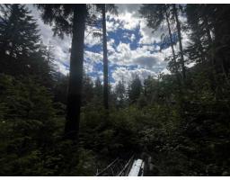 14963 Parkwood Street, Sunshine Valley, Sunshine Valley, BC V0X1L5 Photo 9