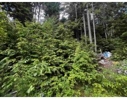 14963 Parkwood Street, Sunshine Valley, Sunshine Valley, BC V0X1L5 Photo 8