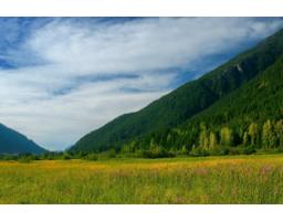 14963 Parkwood Street, Sunshine Valley, Sunshine Valley, BC V0X1L5 Photo 20