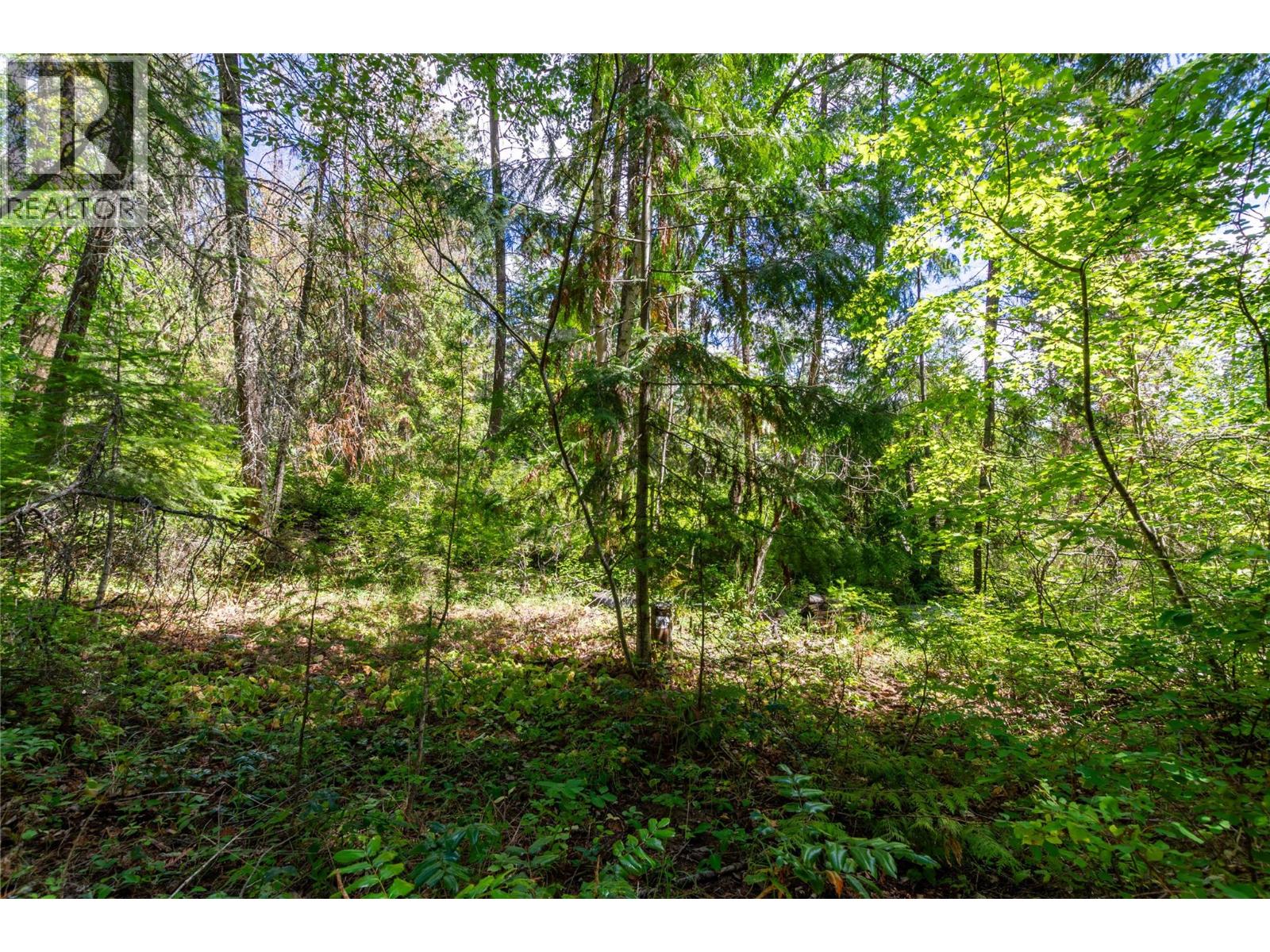 7804 Silver Star Road, Vernon