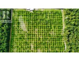 Lots 71-72 Harrison Road, Arrow Park, BC V0G1R1 Photo 12