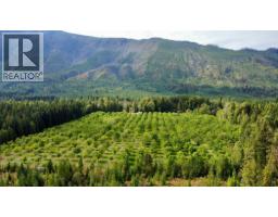 Lots 71-72 Harrison Road, Arrow Park, BC V0G1R1 Photo 6