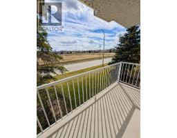 323, 103 Strathaven Drive E, Strathmore, AB T1P1W3 Photo 17