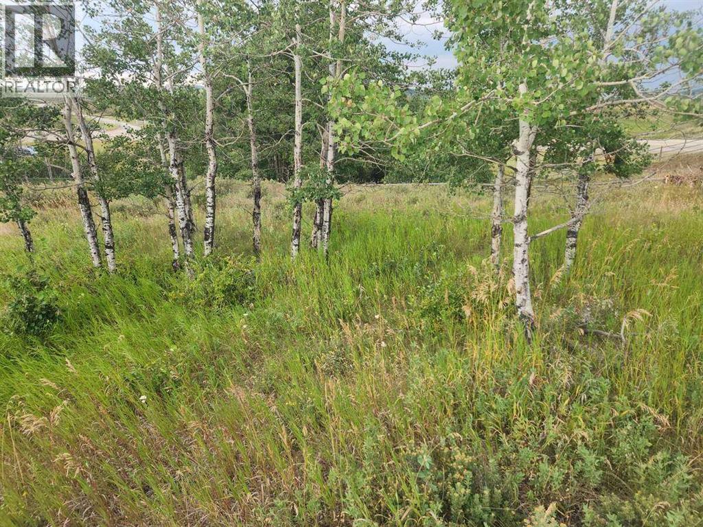 430 Cottageclub Cove - Photo 6