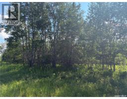 Lot 4 Lakeside Acreages, Delaronde Lake, SK S0J0E0 Photo 6