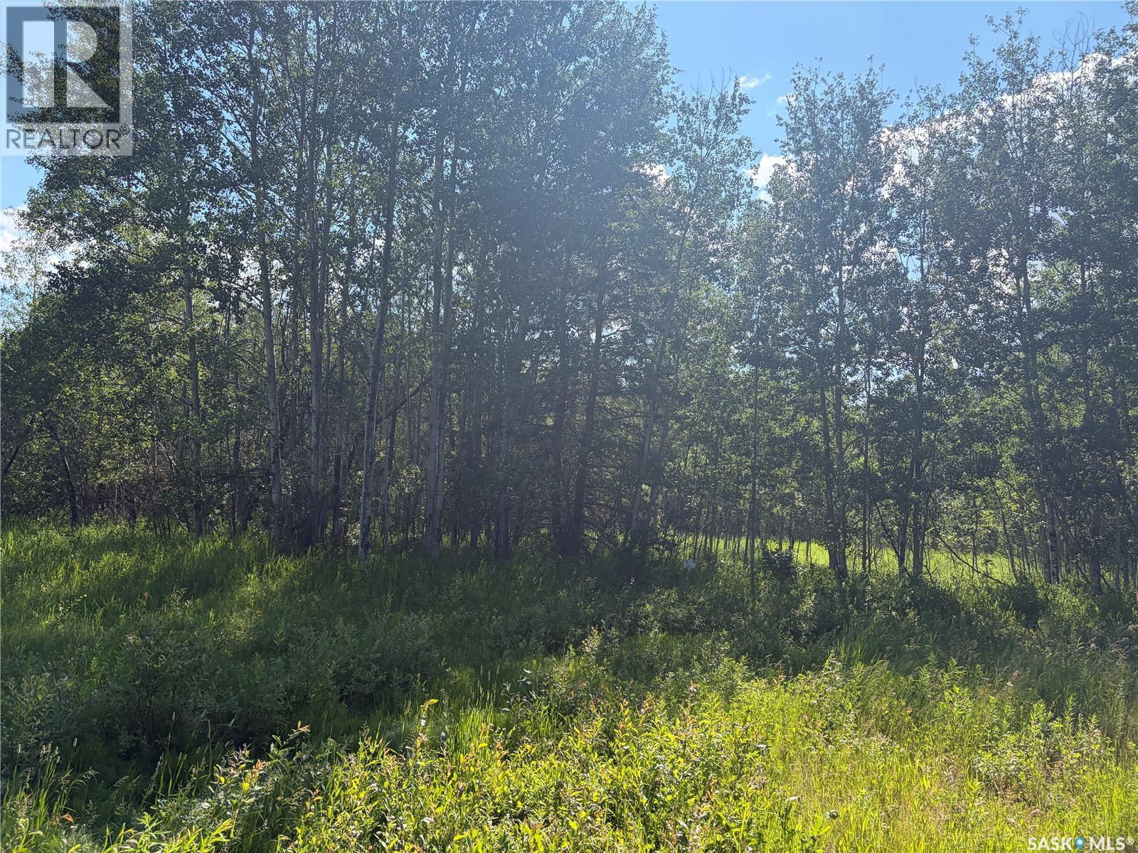 Lot 4 Lakeside Acreages - photo 3