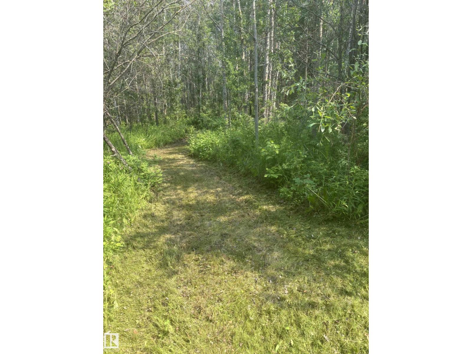 567 12002 Twp Rd 605a — photo 6