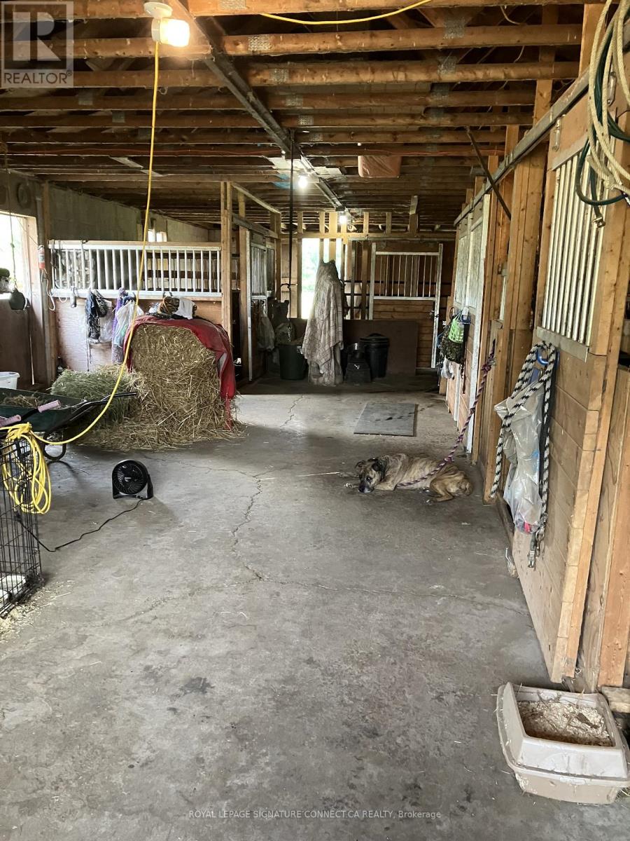 283 INMAN ROAD - 13