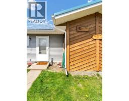 437 3 Avenue, Bassano, AB T0J0B0 Photo 18