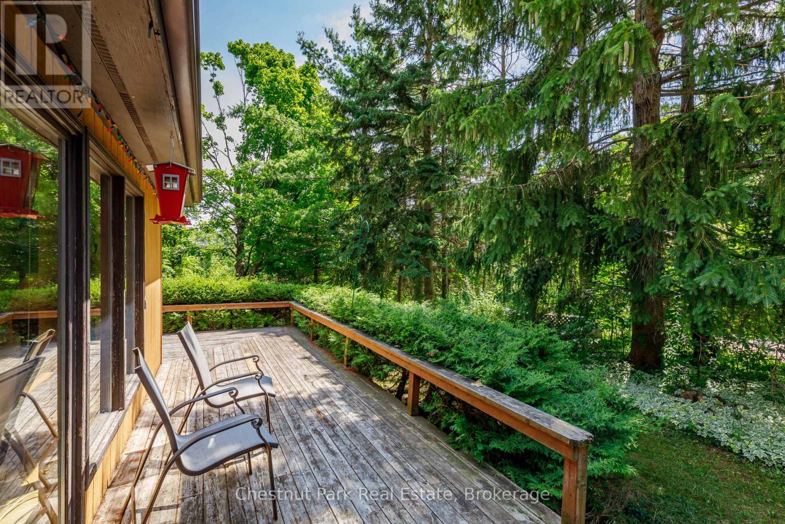 138 KIONONTIO TRAIL - Image 19