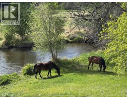4189 Mickey Frontage Road, Cache Creek, BC V0K1H1 Photo 44