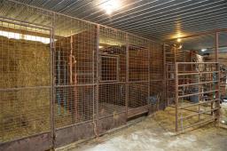 37021 114w Road, Carroll, MB R0K0K0 Photo 31
