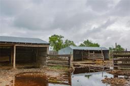 37021 114w Road, Carroll, MB R0K0K0 Photo 35