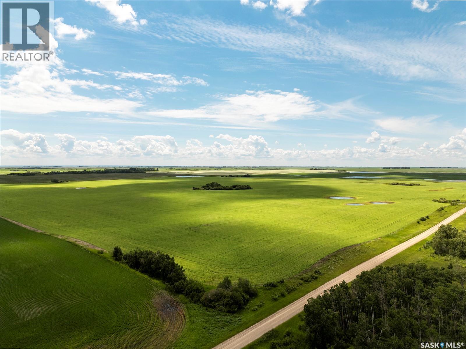 Leniczek Farm/Lily & Rose Seed Processors - photo 4