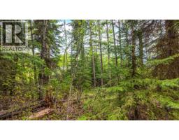 Lot 4 Hunt Road, 100 Mile House, BC V0K2E3 Photo 10