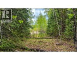 Lot 4 Hunt Road, 100 Mile House, BC V0K2E3 Photo 9