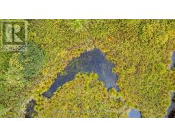 1233 Beiers Rd, Gravenhurst, ON P0E1N0 Photo 10